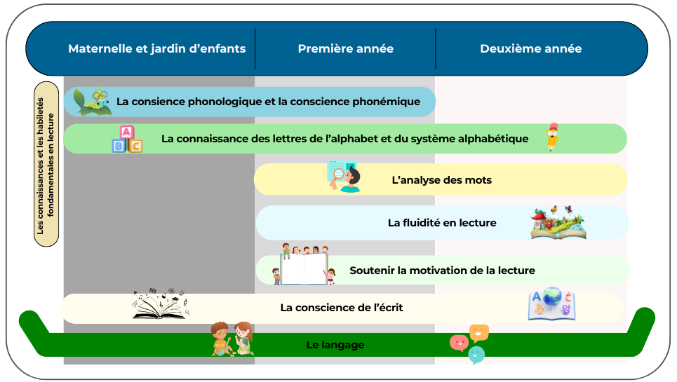 Image Les composantes du programme